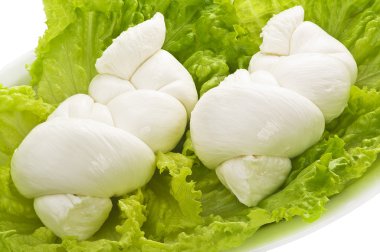 İtalyan taze mozzarella