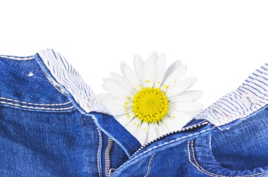 Daisy marka kot pantalon çıkmak