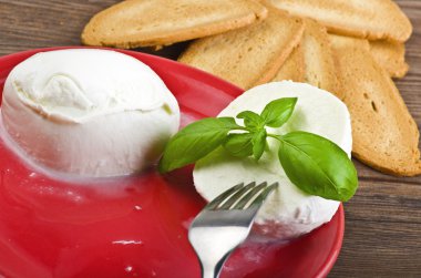 Buffalo mozzarella clipart