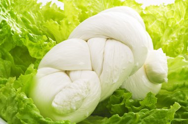 İtalyan taze mozzarella