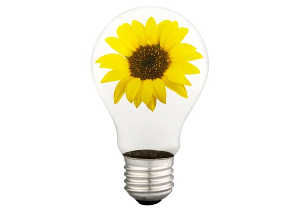 Környezetbarát energia lámpa — Stock Fotó