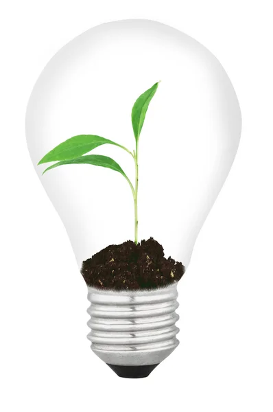 エコ エネルギー ランプ — ストック写真