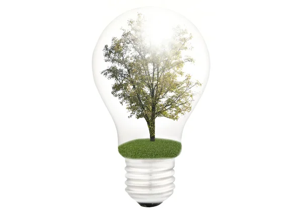 Eko energia światła — Zdjęcie stockowe