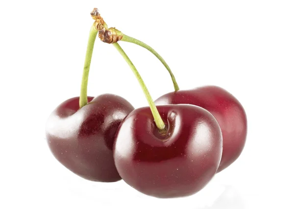 Cherry — Stock Photo, Image