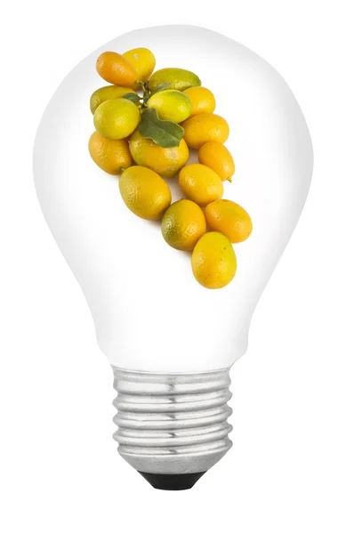 Lampa z owocami — Zdjęcie stockowe