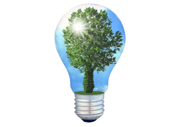 Lámpara de energía ecológica —  Fotos de Stock