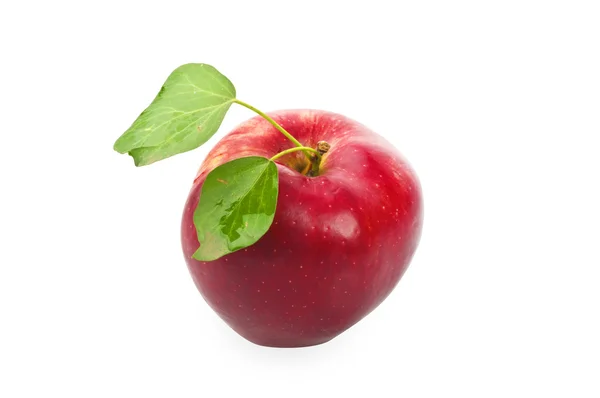 Rode appel met bladeren — Stockfoto