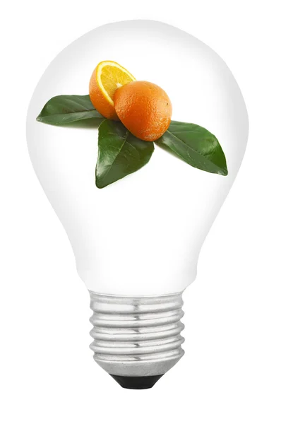 Lampa s ovocem — Stock fotografie