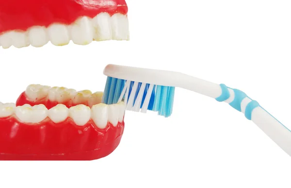 Крупный план зубной щетки и открытого рта — стоковое фото