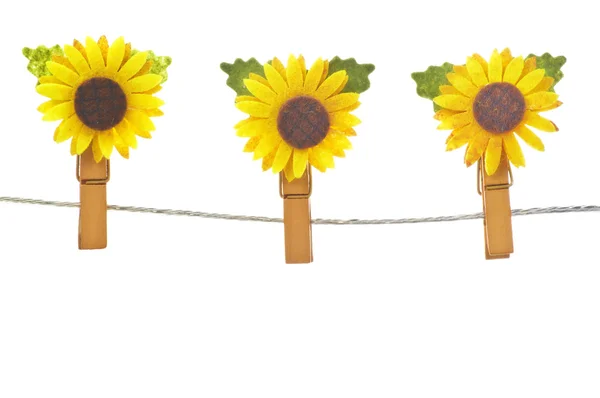 Clothespins with daisy — Stock Photo, Image