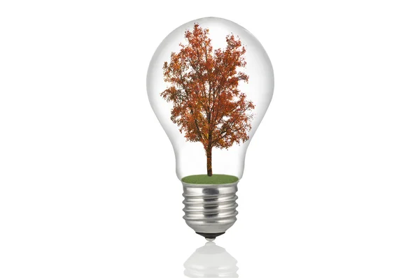 Lampe à énergie écologique — Photo