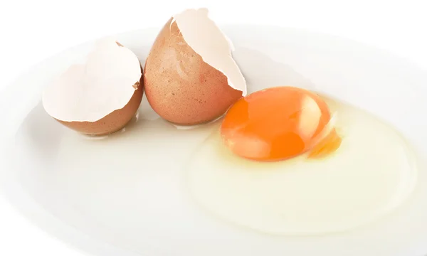 stock image Raw egg tear into half with yolk and albumin