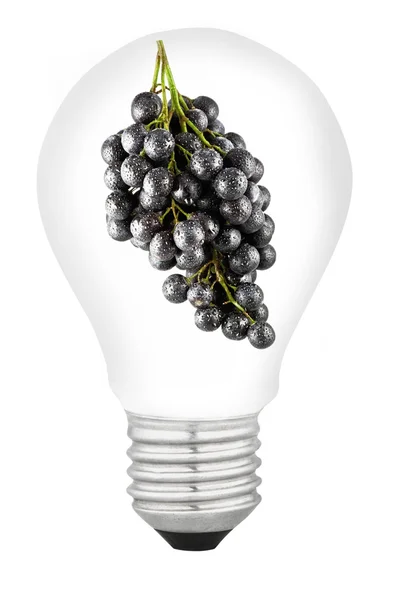 Lampa med frukt — Stockfoto