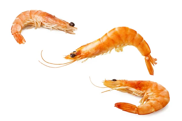 Three shrimps — Stock Photo, Image