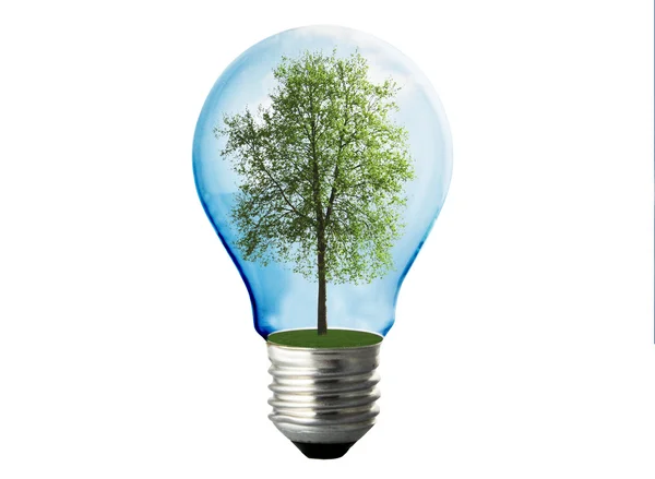エコ エネルギー ランプ — ストック写真