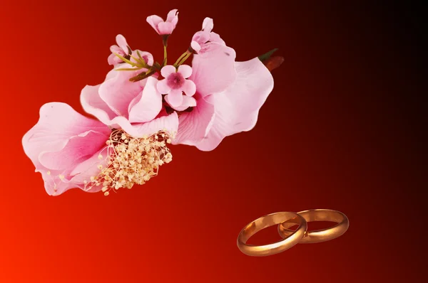 Snubní prsteny koncept pro manželství — Stock fotografie