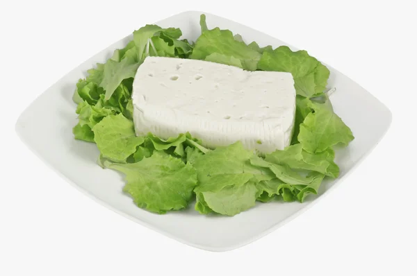 Italian cheese — Stock Photo, Image