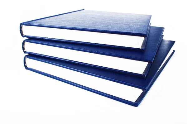 Den blå boken öppen — Stockfoto