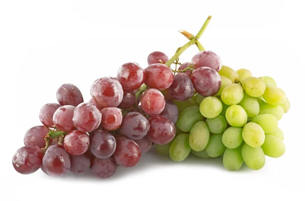 Świeże winogrona — Zdjęcie stockowe