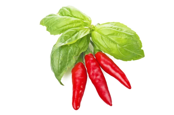 stock image Red chilly pepper