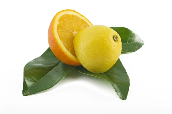 オレンジとレモン — ストック写真