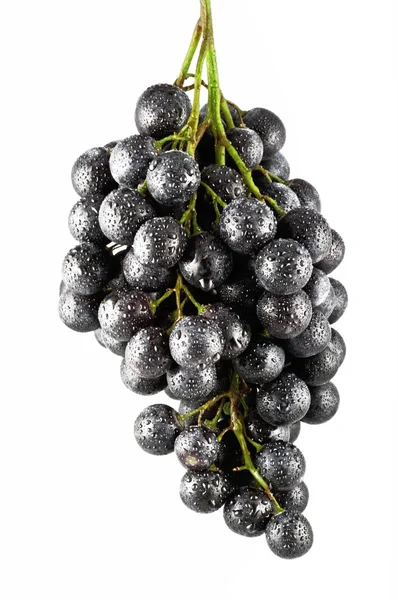 Fresh grapes — Stock Photo, Image