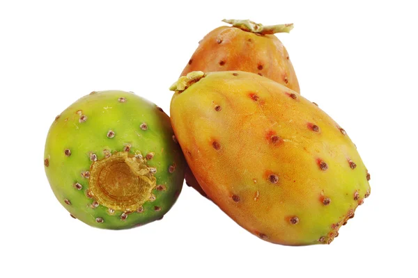 Prickly Pear — Stock Photo, Image