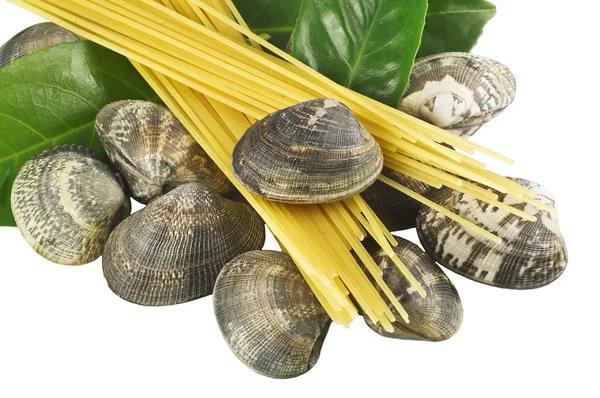 Live clams with spaghetti and garlic — Stock Photo, Image