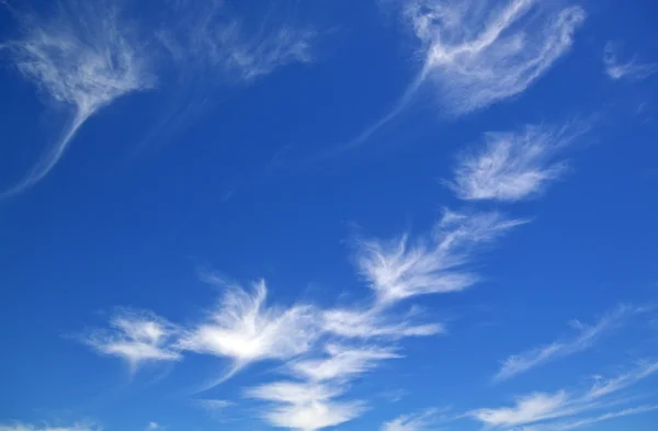 stock image Particular Clouds in the blue sky