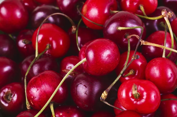 Cherry s kapkami — Stock fotografie