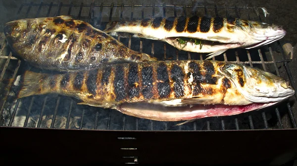 Vissen op de grill — Stockfoto