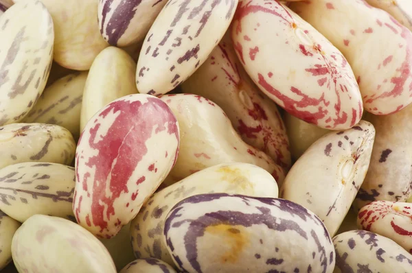 말린된 콩 — 스톡 사진