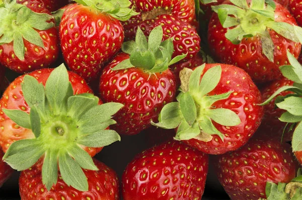 Krásné jahody — Stock fotografie