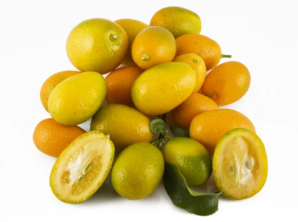 Cumquat nebo kumquat — Stock fotografie