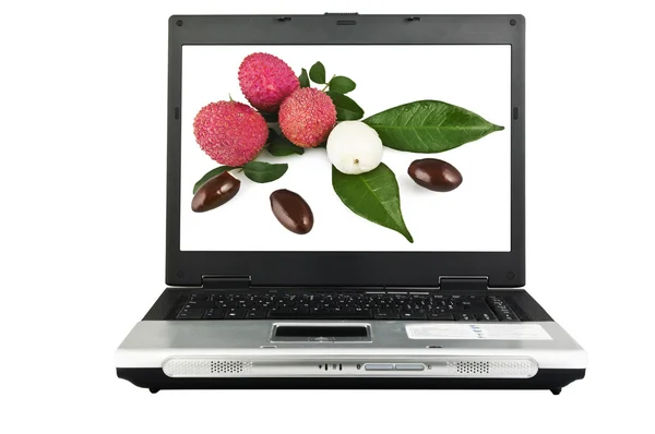 Laptop mit Hintergrund auf dem Bildschirm — Stockfoto