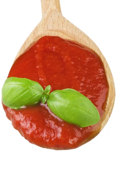 Sauce and basil — Stock Photo, Image