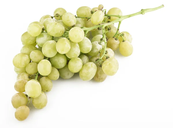 Uvas frescas com gotas — Fotografia de Stock