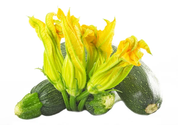 Raw Zucchini — Stock Photo, Image