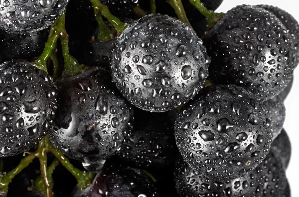 Свежий виноград с каплей — стоковое фото
