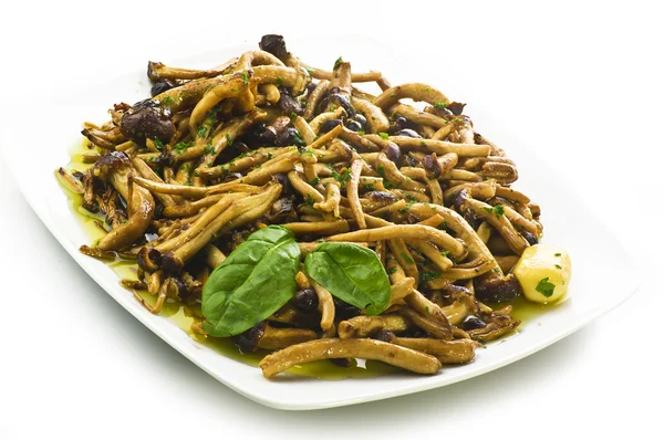 Mushrooms cooked on plate — Stock Photo, Image
