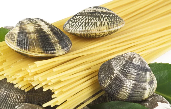 Live clams with spaghett — Stock Photo, Image