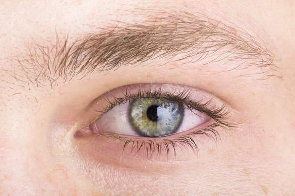 stock image Human eye