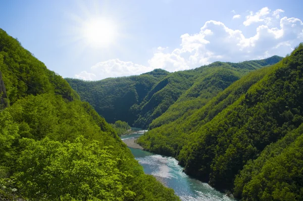 Stock image Summer landscape