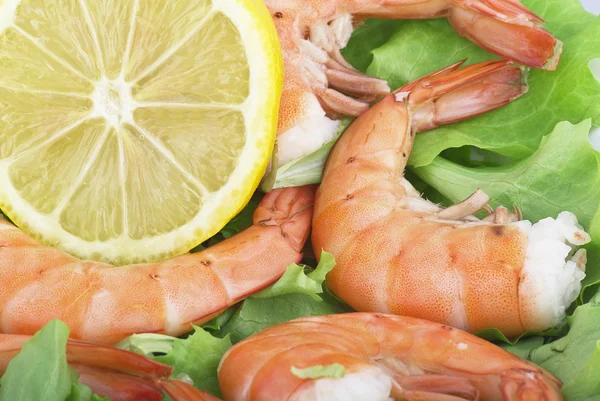 Fried Jumbo Shrimp with salad — Stock Photo, Image