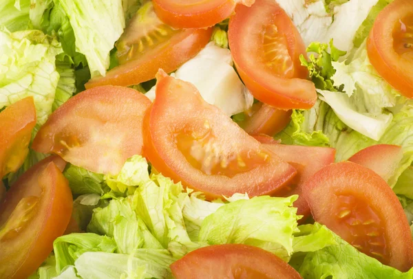 Zelení salát a rajčata — Stock fotografie