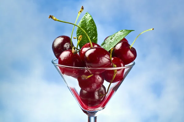 Cherry cup — Stock Photo, Image