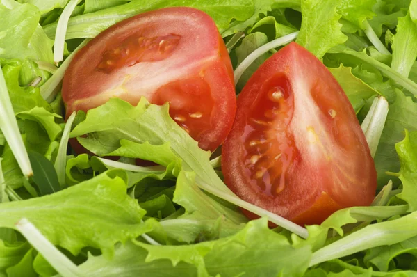 Salada de verduras e tomates — Fotografia de Stock