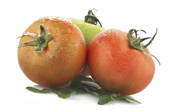 Красный помидор — стоковое фото