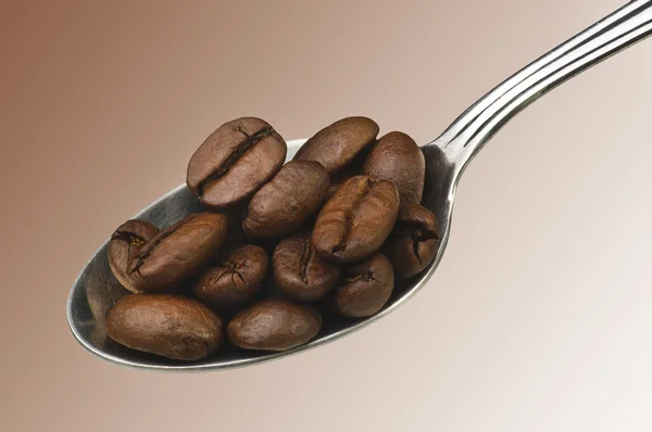 Spoon of coffee — Stock Photo, Image