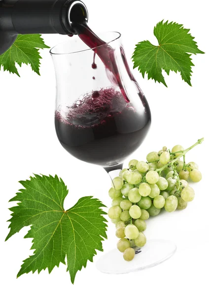 Czerwone wino koncepcja — Zdjęcie stockowe
